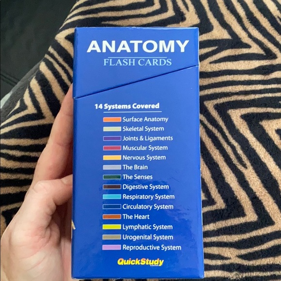 Anatomy flash cards - Picture 2 of 5